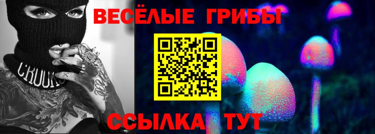 Галлюциногенные грибы GOLDEN TEACHER  купить   Зима  Вход с VPN 