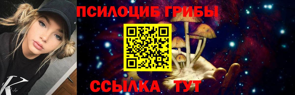 Псилоцибиновые грибы Psilocybe Зима
